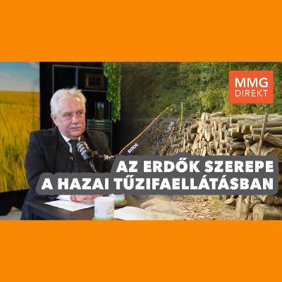 Az erdők szerepe a hazai tűzifaellátásban | Mocz András, erdőkért felelős helyettes államtitkár | 199