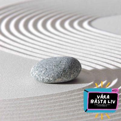 Essentialismen - mindre men bättre