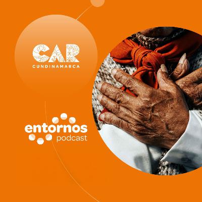 Entornos CAR - Episodio 2 T2