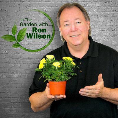 Ron Wilson 12/6/2025 Hour 1