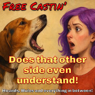 Florida bear, Dog Killers and hound nonsense! Florida bear, Dog Killers and hound nonsense!