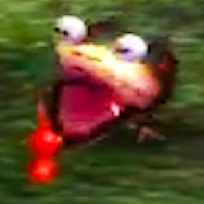 Pizza & Dan play Pikmin, episode 010 Pizza & Dan play Pikmin, episode 010