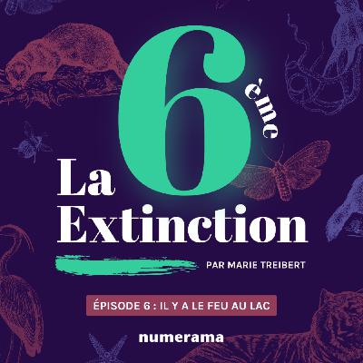 Épisode 6 : il y a le feu au lac