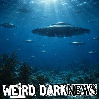 9,000 Underwater UFO Sightings Logged Off US Coasts | #WeirdDarkNEWS 9,000 Underwater UFO Sightings Logged Off US Coasts | #WeirdDarkNEWS