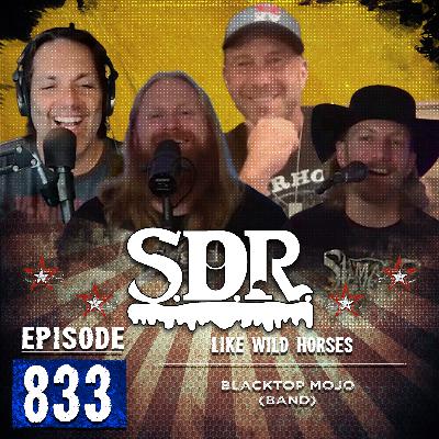 Blacktop Mojo (Band) - Like Wild Horses