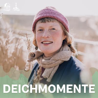 Deichmomente Trailer Deichmomente Trailer