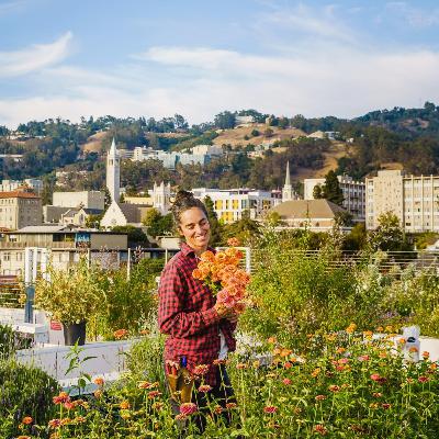 In conversation with Joanna Letz