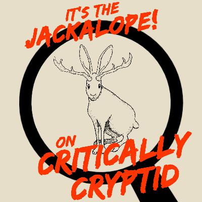 It's The Jackalope! It's The Jackalope!