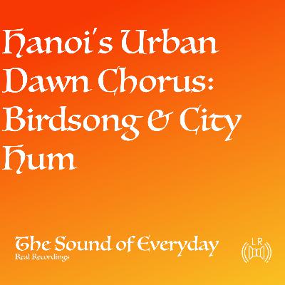Hanoi's Urban Dawn Chorus: Birdsong & City Hum