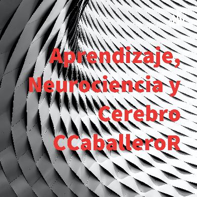 Aprendizaje, Neurociencia y Cerebro CCaballeroR (Trailer)