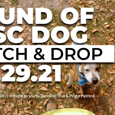 The Sound of DiscDog | Drop & Catch with Obi The Sound of DiscDog | Drop & Catch with Obi