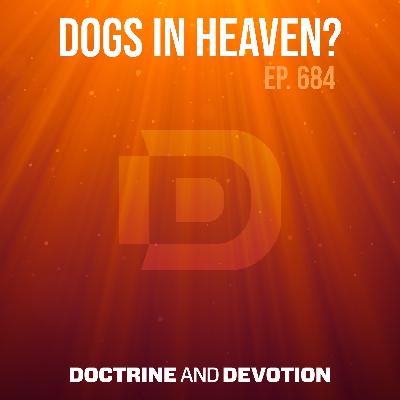 Dogs in Heaven? Dogs in Heaven?