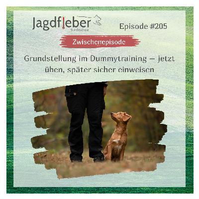 P205: Grundstellung im Dummytraining – jetzt üben, später sicher einweisen