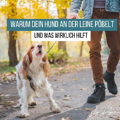 Warum dein Hund an der Leine pöbelt – und was wirklich hilft