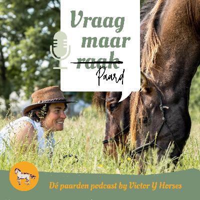 #9 Signalen van discomfort herkennen en aanpakken