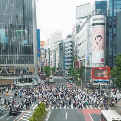 Japón: Tokio y templos de Nikko