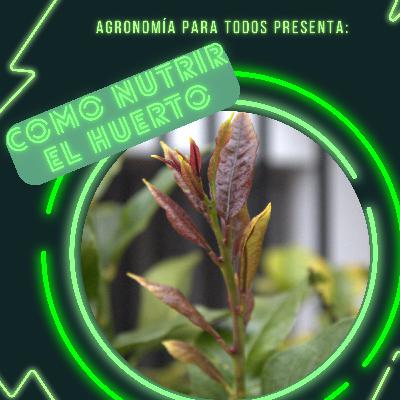 Como nutrir nuestro huerto 👨‍🌾