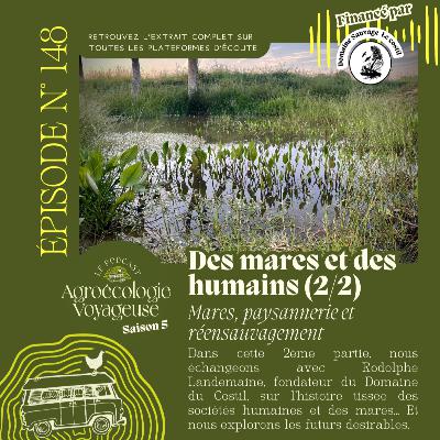 #148 Des Mares et des Humains 🦉 Mares, paysannerie et réensauvagement