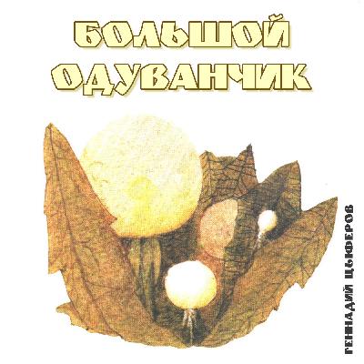 Большой одуванчик. Рассказ Геннадия Цыферова Большой одуванчик. Рассказ Геннадия Цыферова