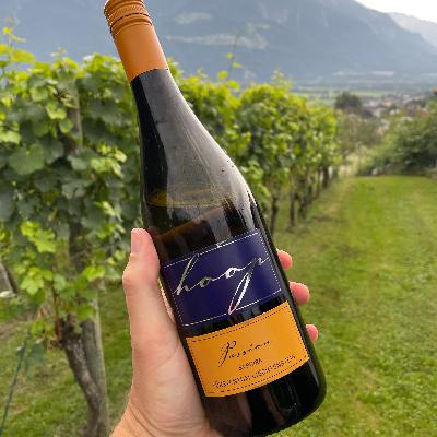 9 / 1,368 - Saphira: A very rare grape variety from Germany tasted in Liechtenstein