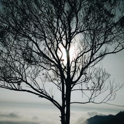 Udah "hidup di hari ini" ?