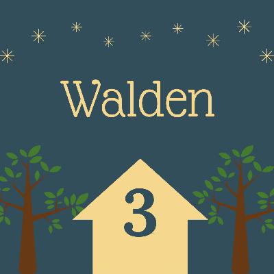 Walden #3 - Soledad