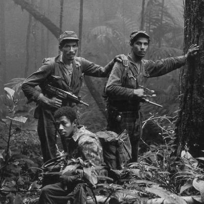 La Palabra Compartida #12 - La Guerrilla Insurge [ 1964 - 1966 ]