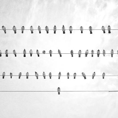 S7 E44: Winter Poems with Roxi Power, Jullia Chiapella, and Parker Shabala