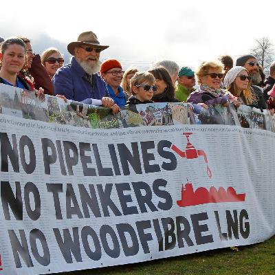 Tracey Saxby - My Sea to Sky