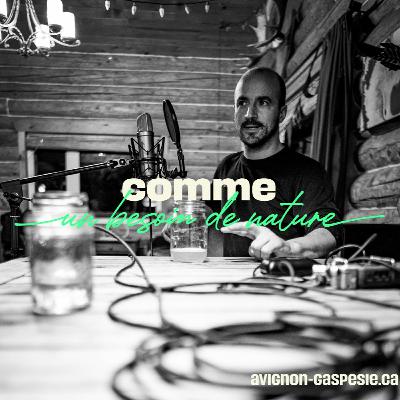 EP02. Avignon.Gaspésie — Comme un besoin de nature | Ténacité EP02. Avignon.Gaspésie — Comme un besoin de nature | Ténacité