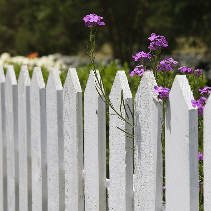 Stängsel Till Trädgård | Schepler Hss Stängsel Till Trädgård | Schepler Hss