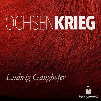 10 Der Ochsenkrieg Bd1 – Teil 1