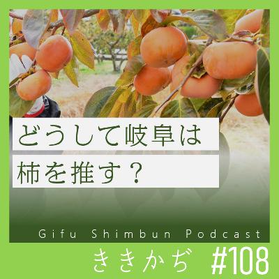 #108 「天下を治めたがりがちじゃん」▼どうして岐阜は柿を推す?県産7割が富有柿!美濃の秋に欠かせない「王様」、いつしか冬の果物に?▲ #108 「天下を治めたがりがちじゃん」▼どうして岐阜は柿を推す?県産7割が富有柿!美濃の秋に欠かせない「王様」、いつしか冬の果物に?▲