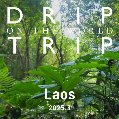 DRIP TRIP通信vol.51【2025.3】Laos編