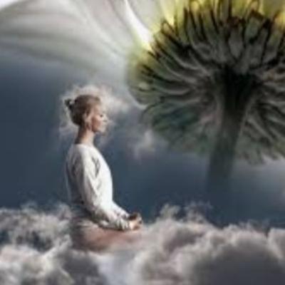 Reprogramación mental