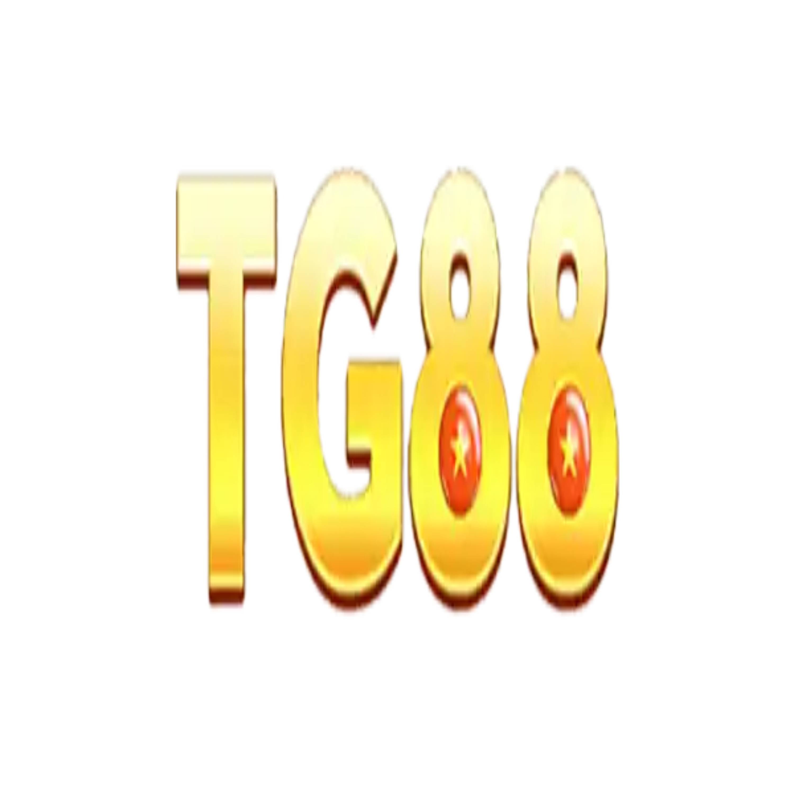 wwwystg88com