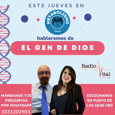Episodio 3 T2, El gen de Dios