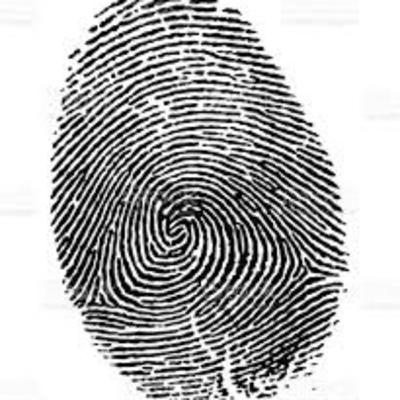 Día 4 Actividad del medio día