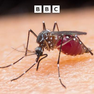 First malaria treatment for babies approved