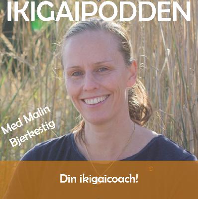 #063. Små steg i rätt riktning – hur du börjar gå när allt känns stort