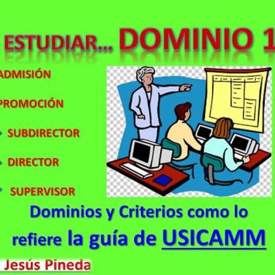 Dominio 1, proceso de admisión, vertical y horizontal. Dominio 1, proceso de admisión, vertical y horizontal.