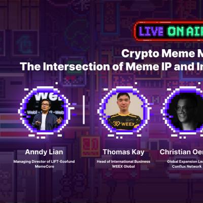 Crypto Meme Magic: The Intersection of Meme IP and Investment Opportunities- MemeX Festival