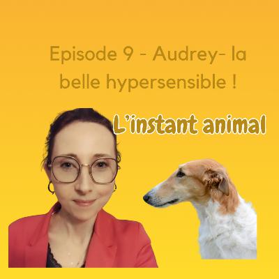 # 9 Audrey - la belle hypersensible !