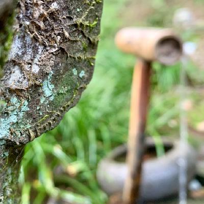 VOL.10 是谁允许他们在千年寺庙里卖烤鸭?旧梦依稀,还我河山! VOL.10 是谁允许他们在千年寺庙里卖烤鸭?旧梦依稀,还我河山!