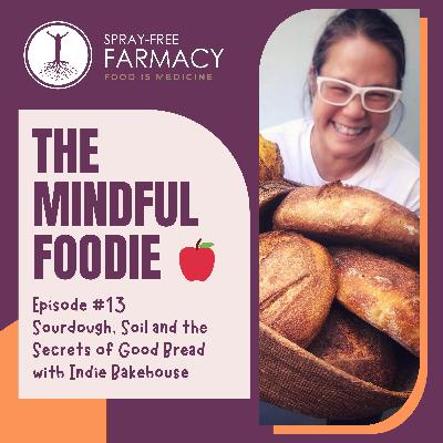 Sourdough, Soil and the Secrets of Good Bread