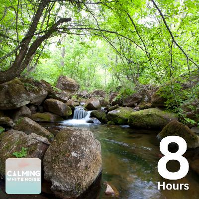 Peaceful Creek Ambience | 8 Hours of Flowing Water for Meditation & Stress Relief
