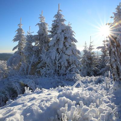Extremer Wintereinbruch und Klimawandel schließen sich nicht aus