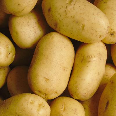 What Are the Only 10 Foods You'd Need to Survive?