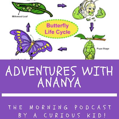Episode 5 - Adventures with Ananya: The one where A explains the Lifecycle of a butterfly and a frog!