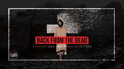 402 Series | Back from the Dead (Part 2) 402 Series | Back from the Dead (Part 2)